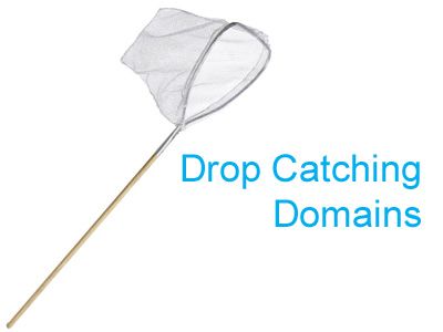 drop-catching