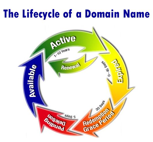 life-cycle-of-a-domain