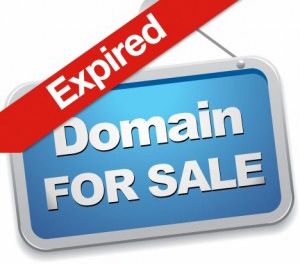 who-buys-domains2